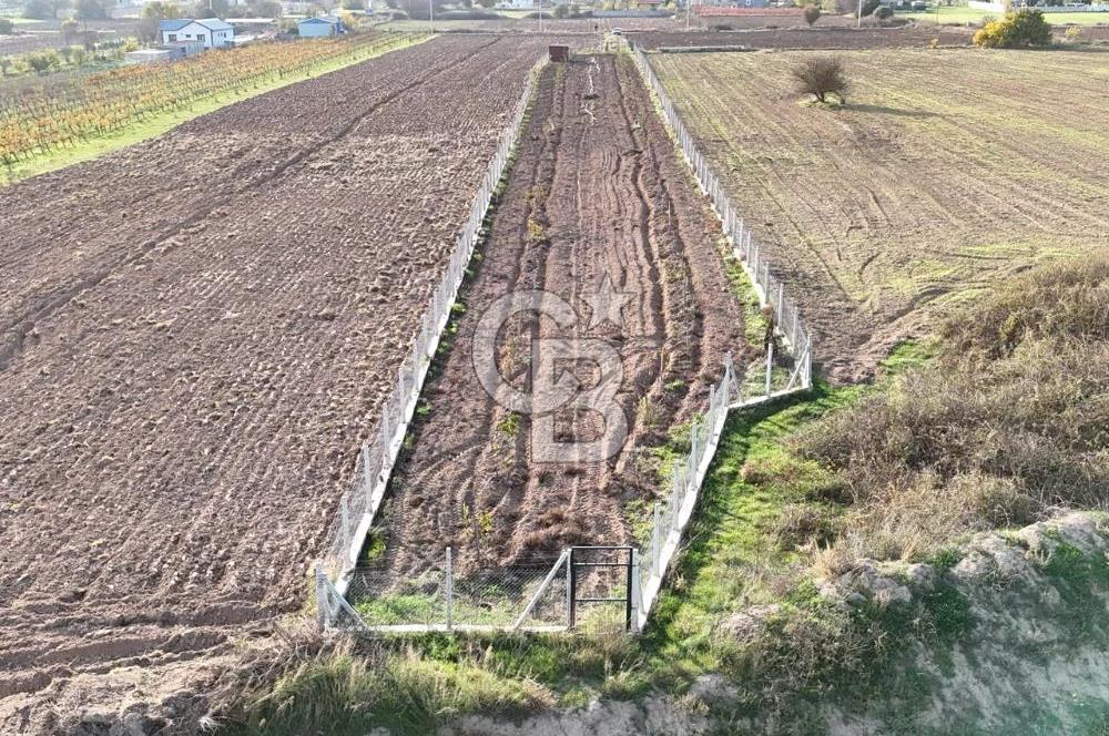 URLA BİRGİ'de SATILIK 2739 M2 TARLA