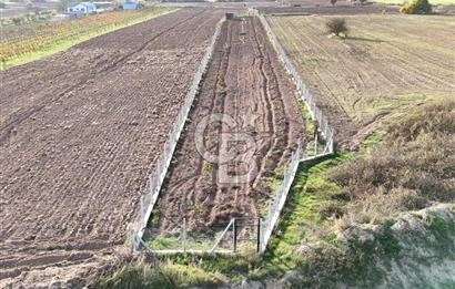 URLA BİRGİ'de SATILIK 2739 M2 TARLA