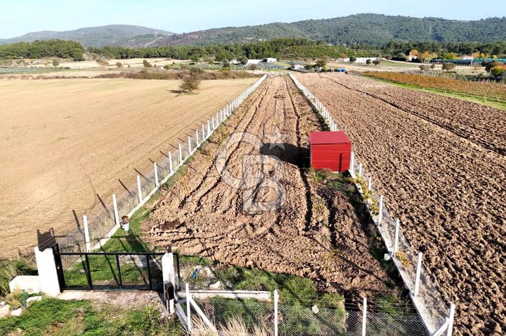 URLA BİRGİ'de SATILIK 2739 M2 TARLA