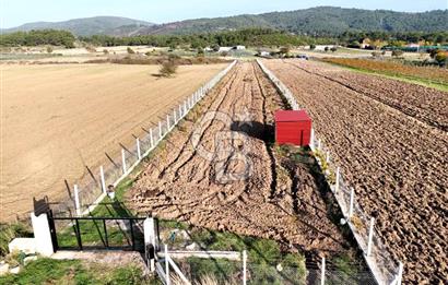 URLA BİRGİ'de SATILIK 2739 M2 TARLA