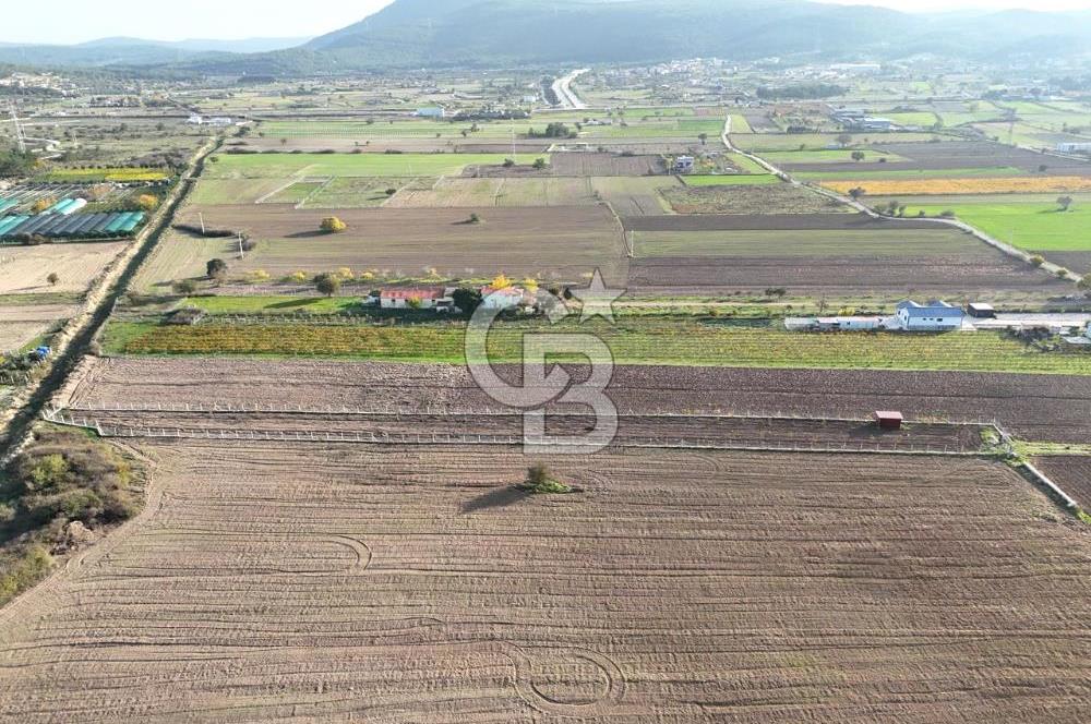 URLA BİRGİ'de SATILIK 2739 M2 TARLA