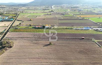 URLA BİRGİ'de SATILIK 2739 M2 TARLA