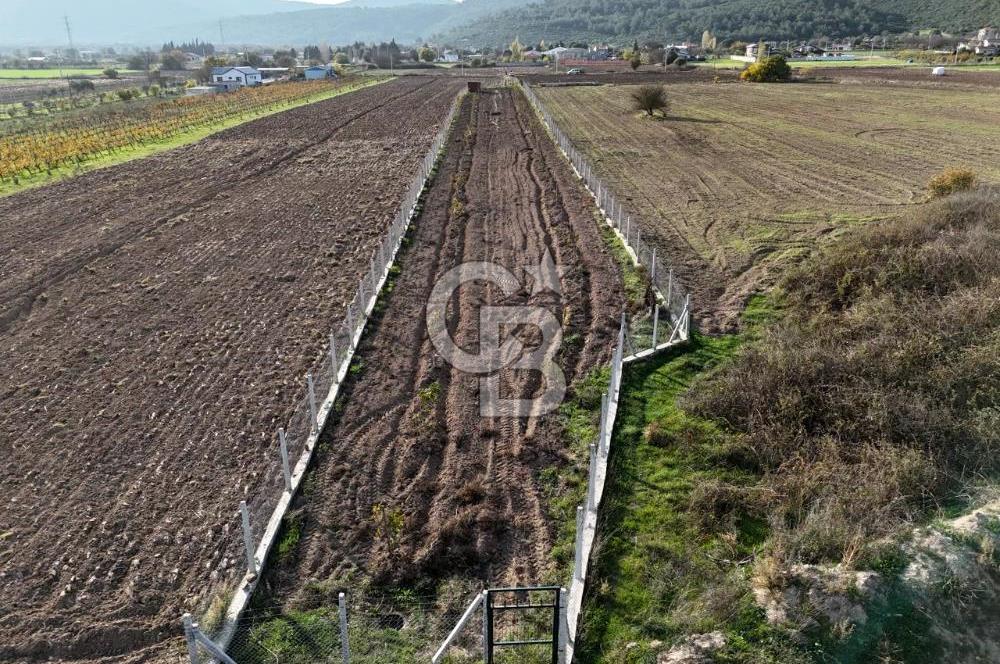 URLA BİRGİ'de SATILIK 2739 M2 TARLA