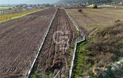 URLA BİRGİ'de SATILIK 2739 M2 TARLA
