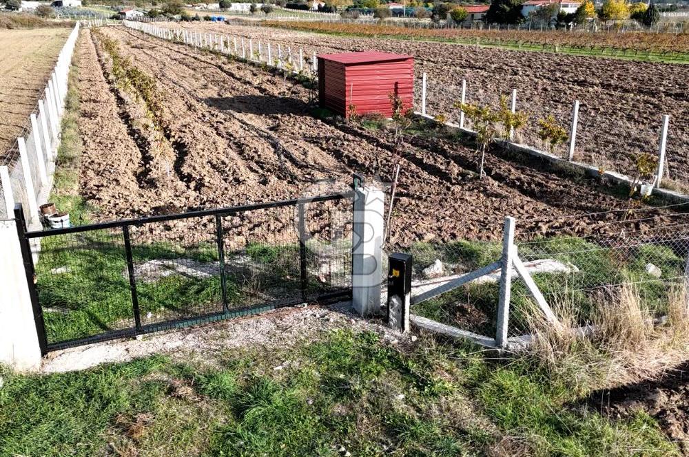 URLA BİRGİ'de SATILIK 2739 M2 TARLA