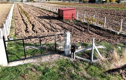 URLA BİRGİ'de SATILIK 2739 M2 TARLA