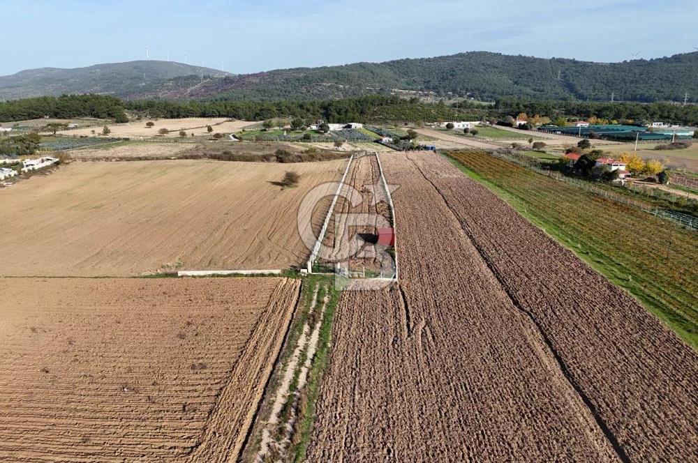 URLA BİRGİ'de SATILIK 2739 M2 TARLA
