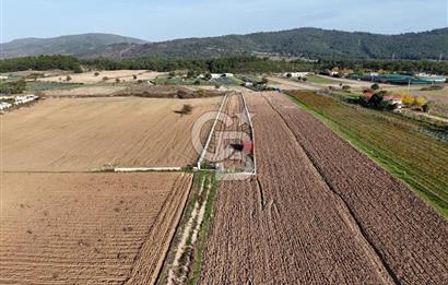 URLA BİRGİ'de SATILIK 2739 M2 TARLA
