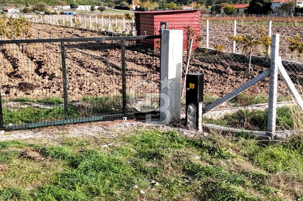 URLA BİRGİ'de SATILIK 2739 M2 TARLA