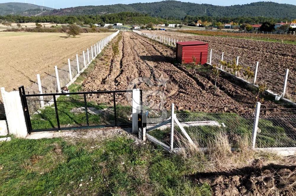 URLA BİRGİ'de SATILIK 2739 M2 TARLA