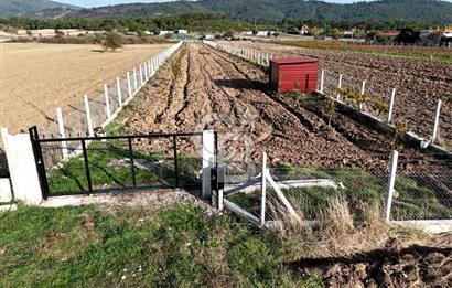 URLA BİRGİ'de SATILIK 2739 M2 TARLA