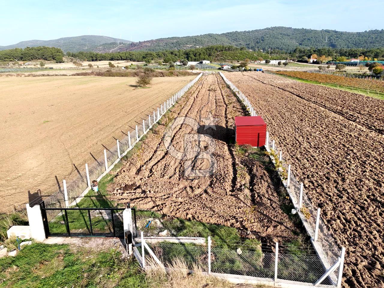 URLA BİRGİ'de SATILIK 2739 M2 TARLA