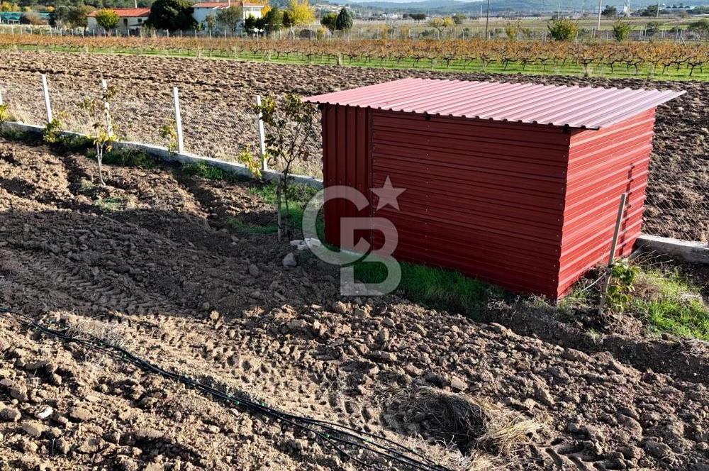 URLA BİRGİ'de SATILIK 2739 M2 TARLA