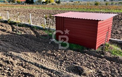 URLA BİRGİ'de SATILIK 2739 M2 TARLA