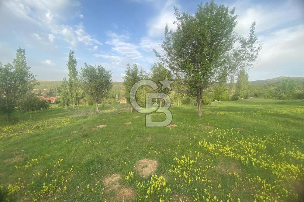 MUSELAND'DAN UŞAK'TA DÖRT DÖNÜM ELMA BAHÇESİ