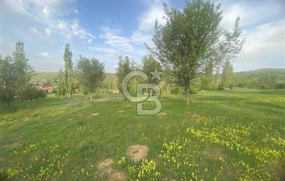 MUSELAND'DAN UŞAK'TA DÖRT DÖNÜM ELMA BAHÇESİ