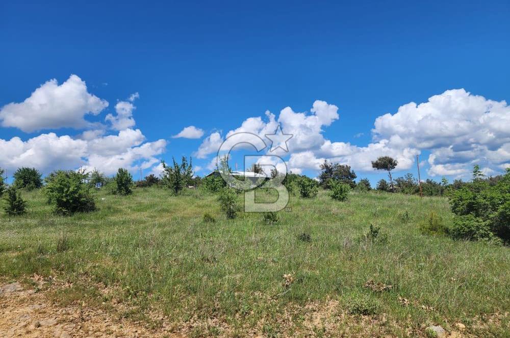 Edirne Keşan Sazlıdere Satılık Müstakil Tapu 548 M2 Arsa