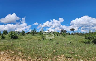 Edirne Keşan Sazlıdere Satılık Müstakil Tapu 548 M2 Arsa