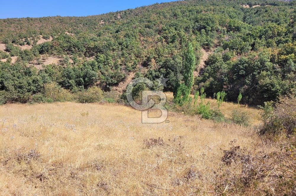 manisa kula satılık tarla