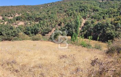 manisa kula satılık tarla