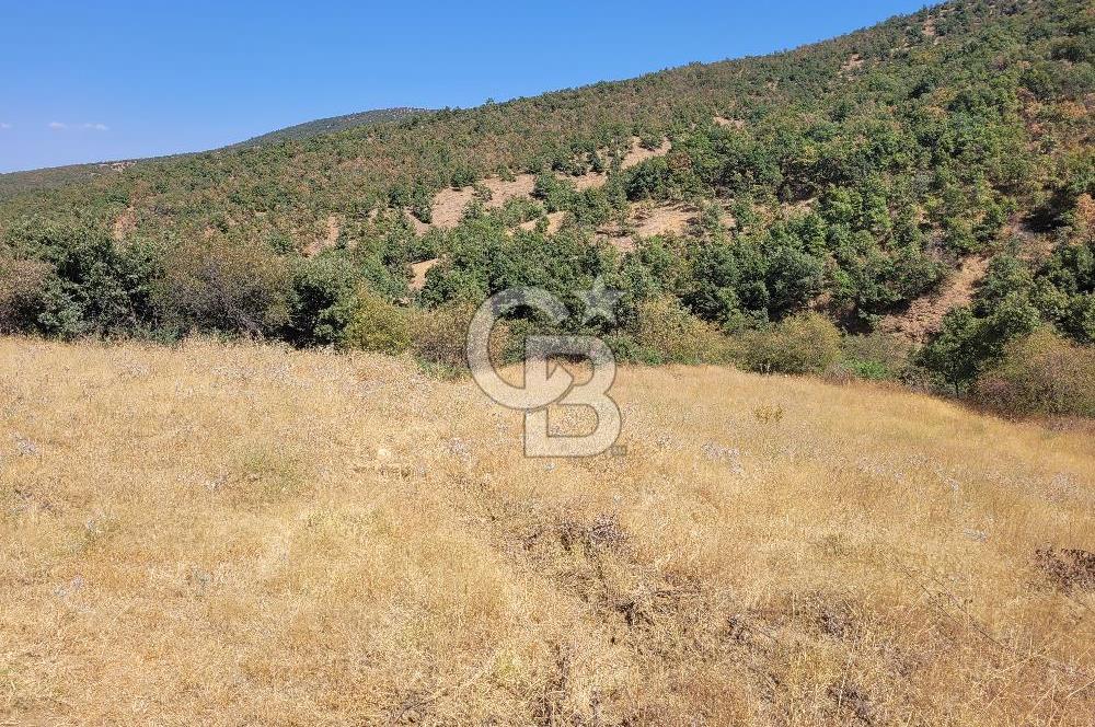 manisa kula satılık tarla