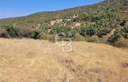 manisa kula satılık tarla