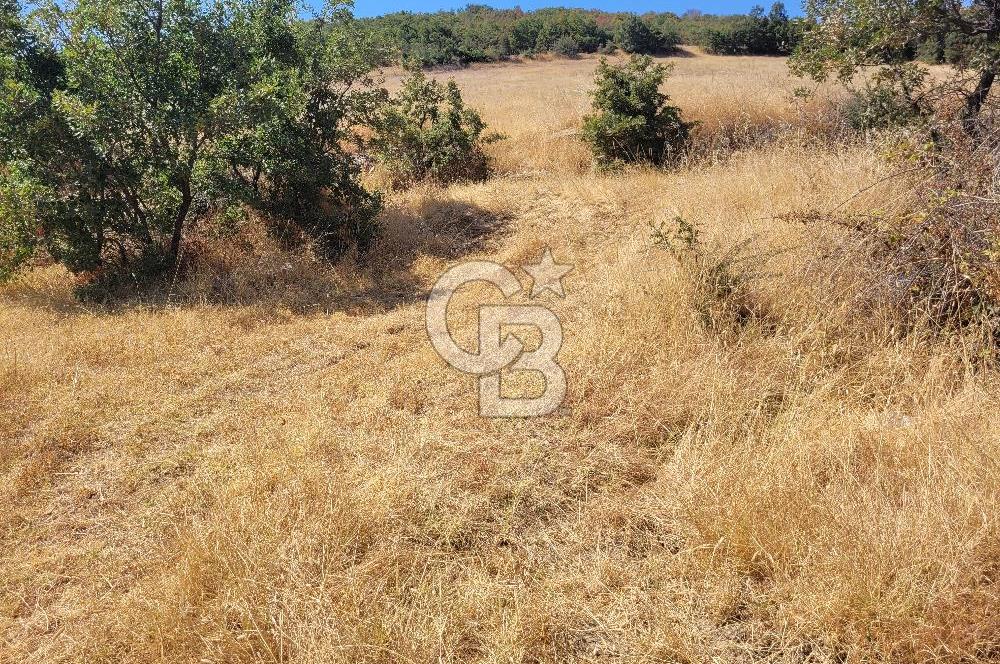 manisa kula satılık tarla