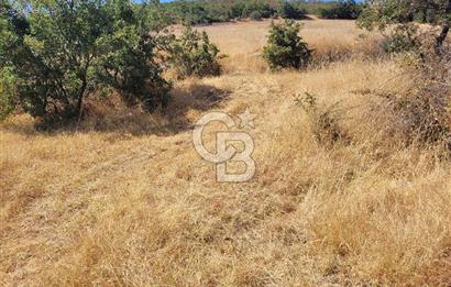 manisa kula satılık tarla