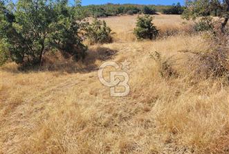 manisa kula satılık tarla - 4 - 321089