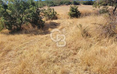 manisa kula satılık tarla