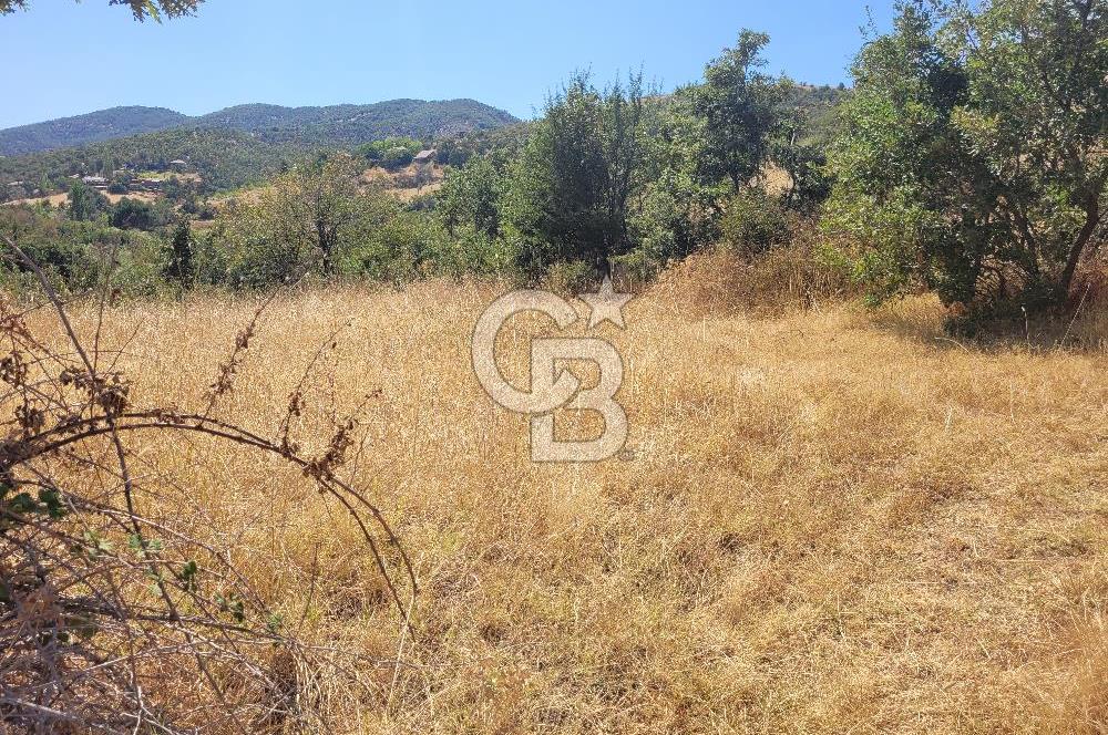 manisa kula satılık tarla