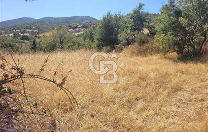 manisa kula satılık tarla