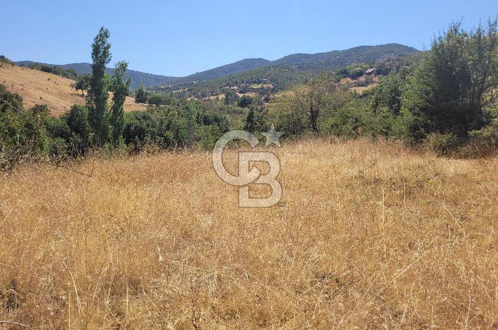 manisa kula satılık tarla