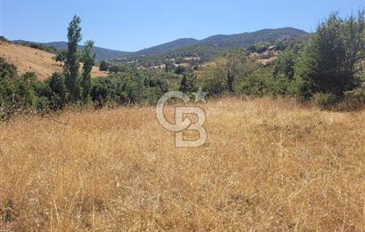 manisa kula satılık tarla