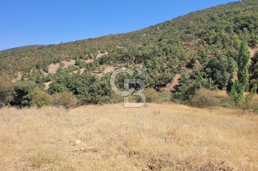 manisa kula satılık tarla