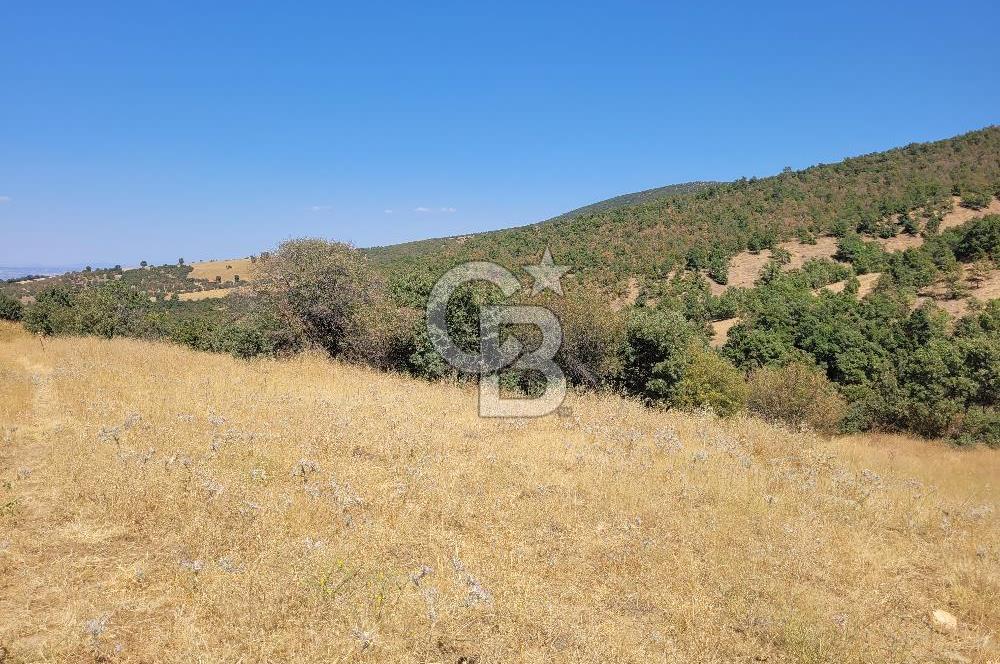 manisa kula satılık tarla