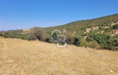 manisa kula satılık tarla