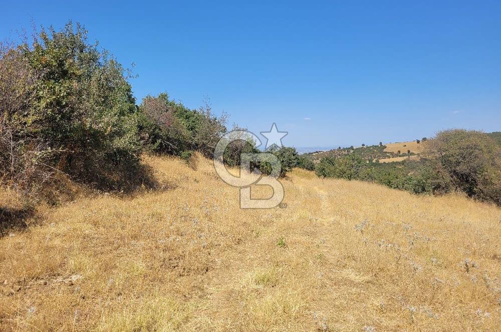 manisa kula satılık tarla