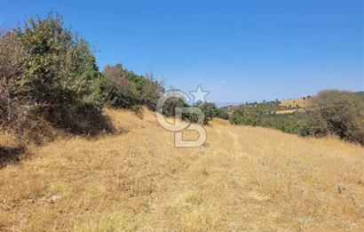 manisa kula satılık tarla