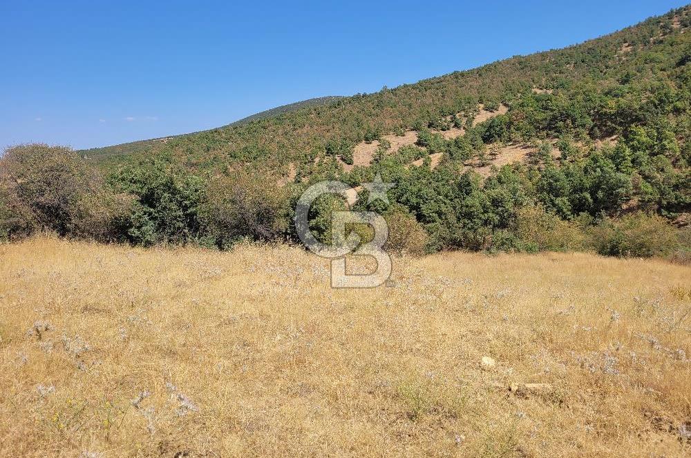 manisa kula satılık tarla