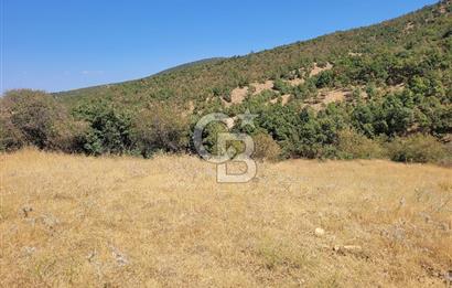 manisa kula satılık tarla