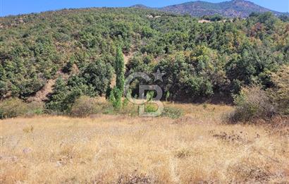 manisa kula satılık tarla