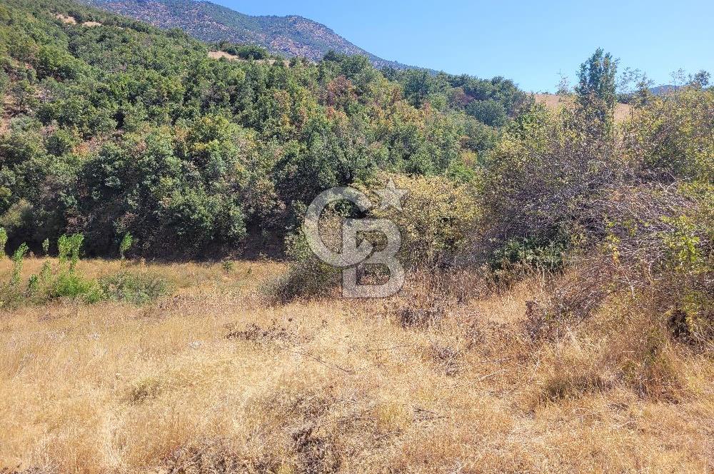 manisa kula satılık tarla