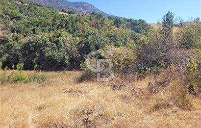 manisa kula satılık tarla