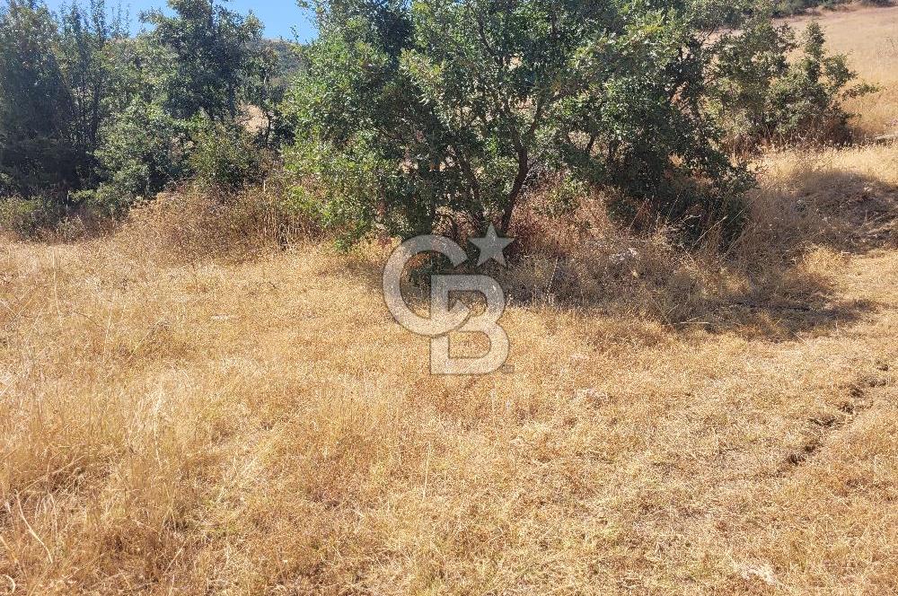 manisa kula satılık tarla