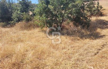 manisa kula satılık tarla