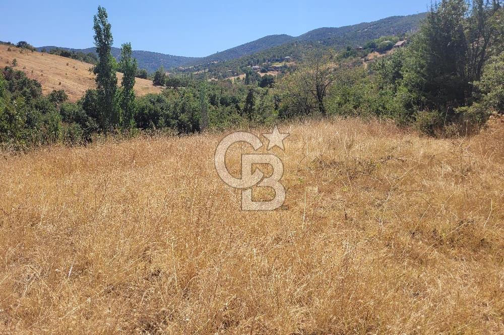 manisa kula satılık tarla