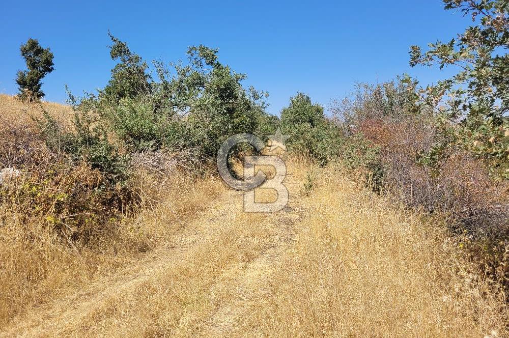 manisa kula satılık tarla