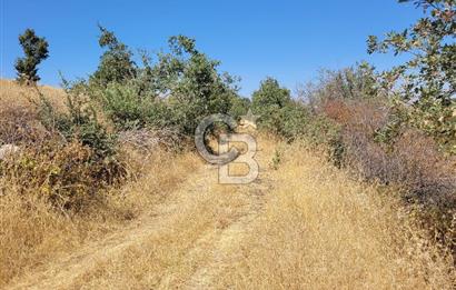 manisa kula satılık tarla