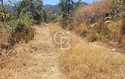 manisa kula satılık tarla